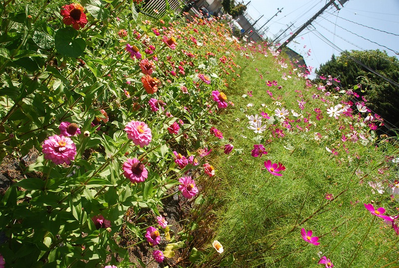 c0187781_1373422.jpg