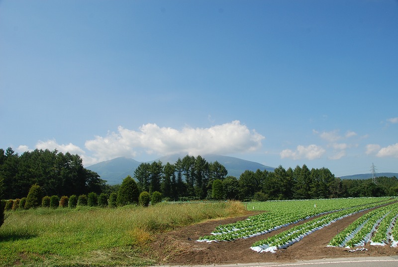 晩夏の軽井沢①_c0187781_1421276.jpg