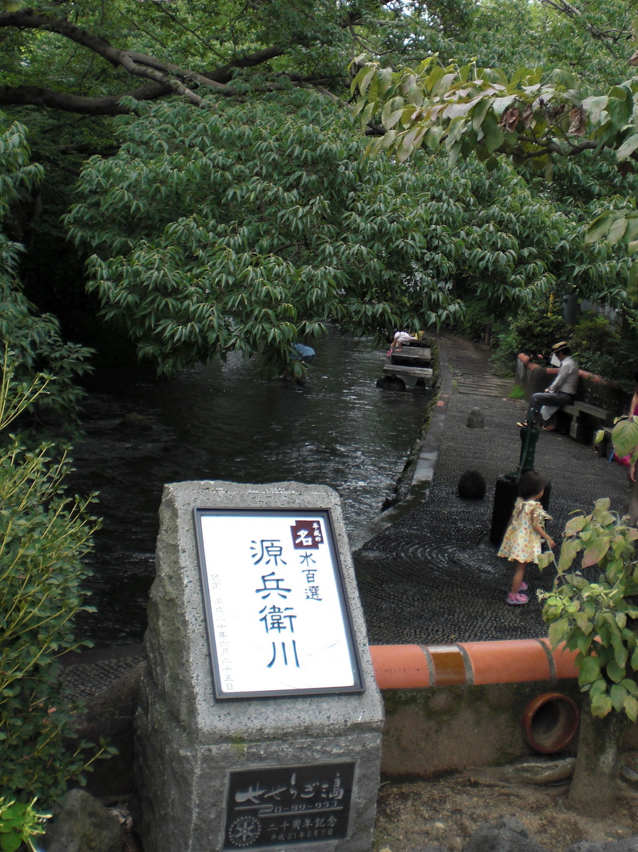 三島の鰻はやっぱり美味@桜家[三島/静岡]_c0013687_911345.jpg