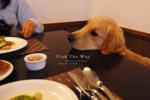 【犬的散歩日和】栃木・那須 6/12 〜 ペンションオリーブさん 5_f0054594_4521134.jpg