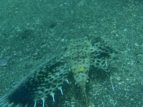 f0238795_1505025.jpg