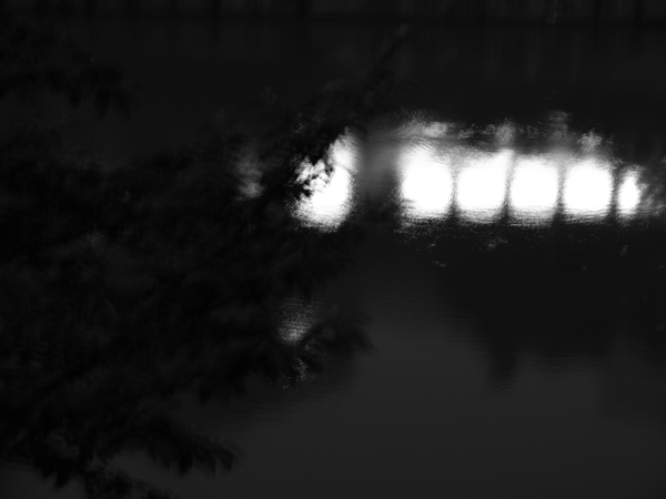 a0110898_22573864.gif