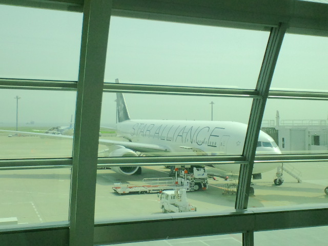 e0190698_94686.jpg