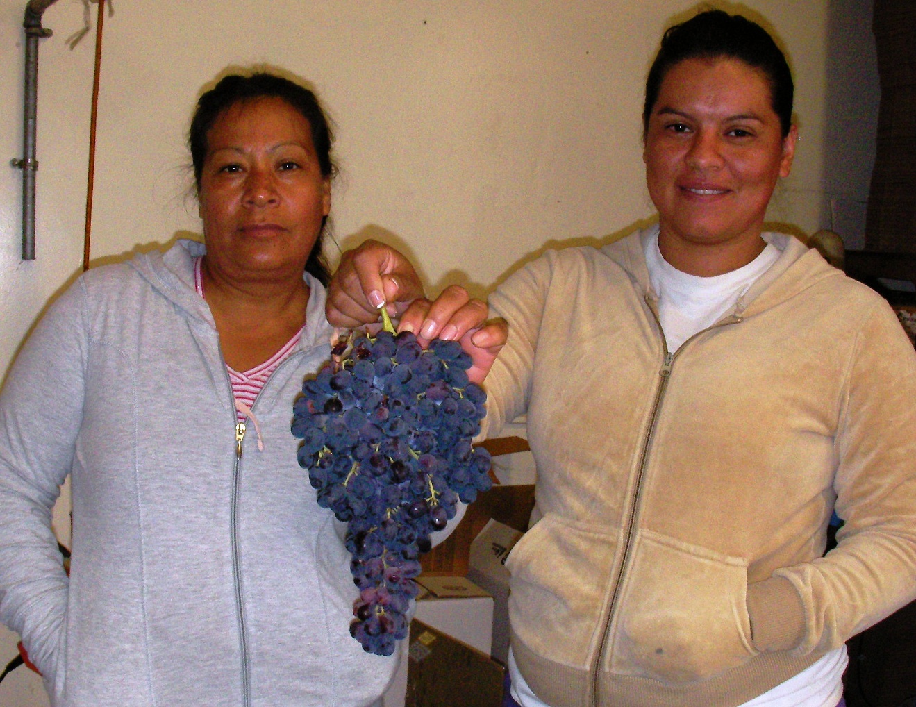 f0007498_2242354.jpg