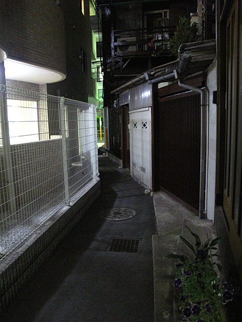 妙正寺川下高田支流・夜の暗渠 : 東京の水 2009 fragments