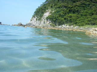 ２０１０年夏の旅～式根島編～_d0135101_1644543.jpg