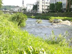 f0055803_146491.jpg