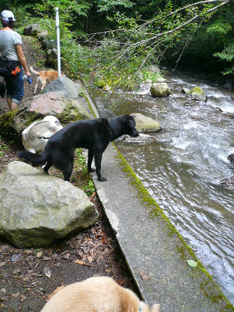 f0144103_1145950.jpg