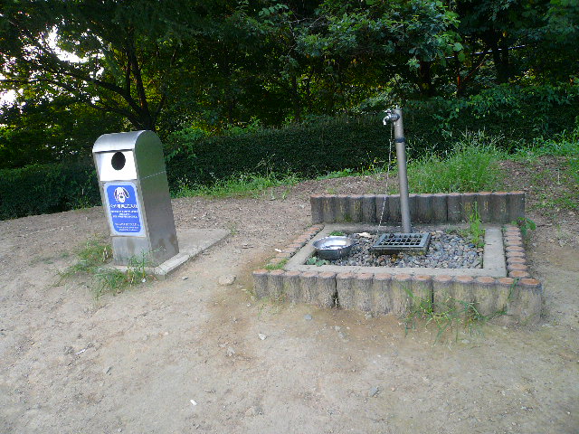 f0144103_9552665.jpg