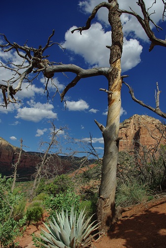 f0038904_13305071.jpg
