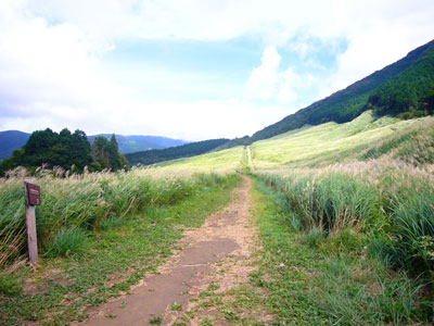 a0071805_10212867.jpg