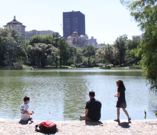 野生の王国化しつつあるセントラルパーク北限の湖　Harlem Meer _b0007805_13265075.jpg