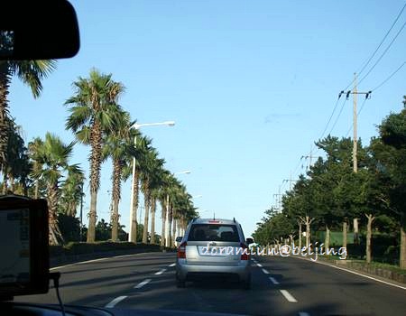 c0154610_7314574.jpg