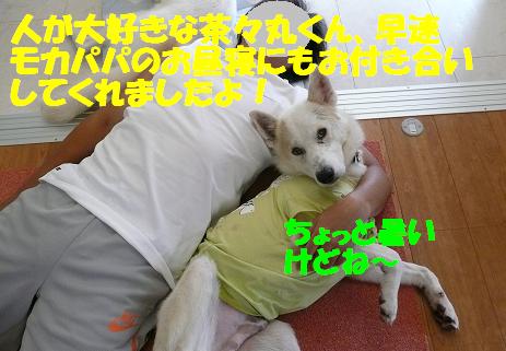 f0121712_16561450.jpg