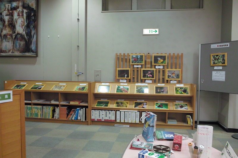 宮崎県立図書館内で里山の写真の常設展が始まりました_d0059213_21514718.jpg