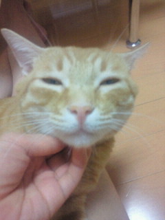 いやぁ_f0178313_1212510.jpg