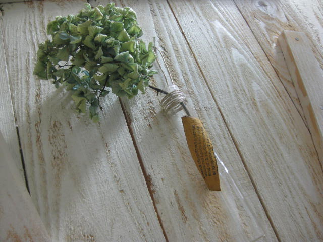 c0085916_110356.jpg