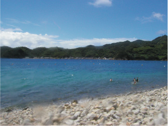 e0142619_00384.jpg