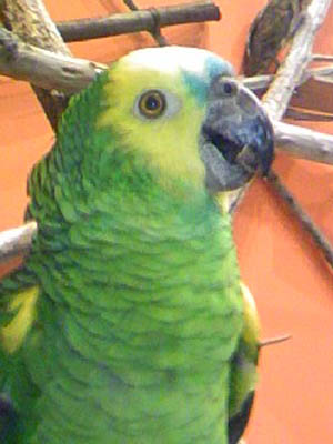 e0148120_5361729.jpg