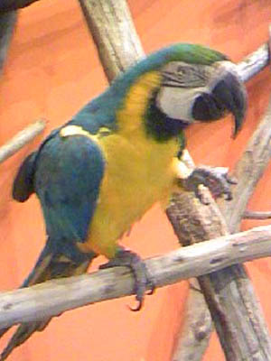 e0148120_5372775.jpg
