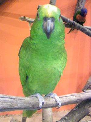 e0148120_5382128.jpg