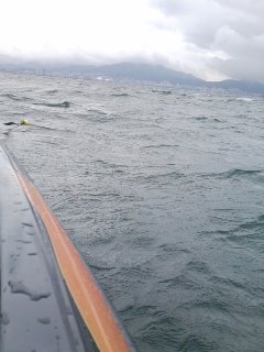 9月8日水曜日。_e0100021_20132370.jpg