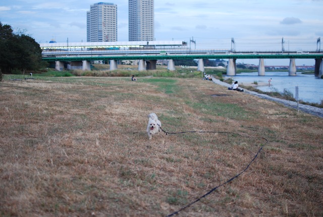 偶然_c0099133_021468.jpg