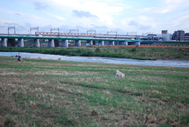 偶然_c0099133_0374326.jpg