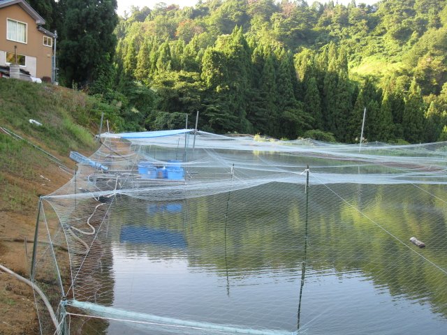 f0214235_12531064.jpg