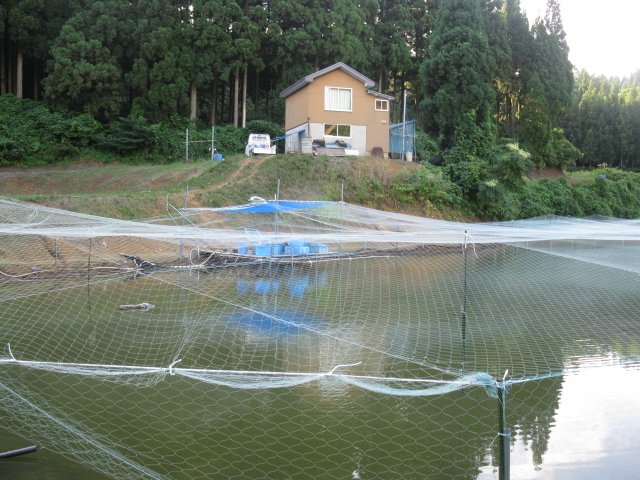 f0214235_1255436.jpg