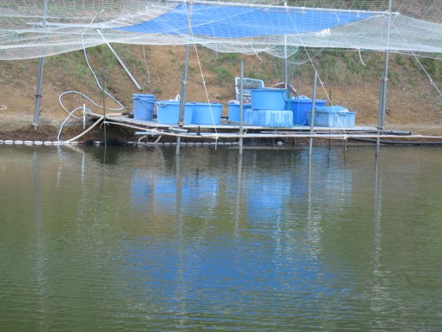 f0214235_2031267.jpg