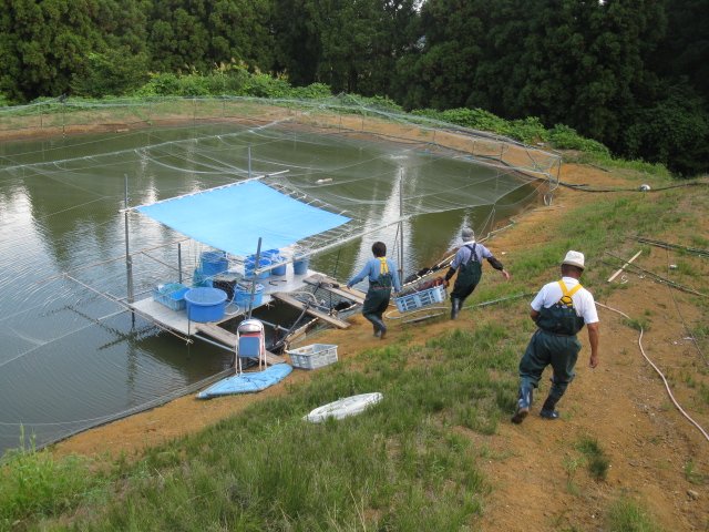 f0214235_23423475.jpg