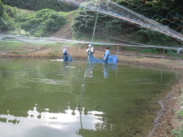 f0214235_2343474.jpg