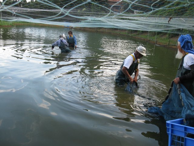 f0214235_23463087.jpg