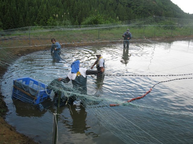 f0214235_23501682.jpg