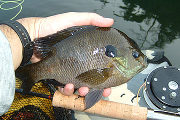 b0174137_17214435.jpg
