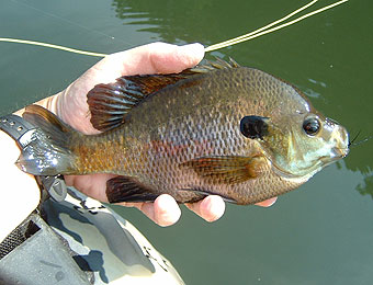 b0174137_173081.jpg