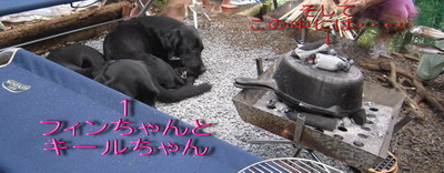 スペシャルなBBQ_a0142343_1193972.jpg