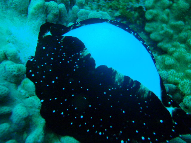 c0142045_1511452.jpg