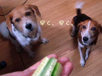 野菜なおやつ。_c0086746_1326736.jpg