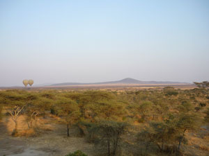 c0192346_17382818.jpg
