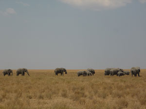 c0192346_17411569.jpg