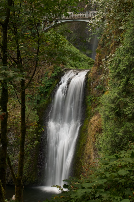 The Columbia River Gorge_d0069550_140365.jpg