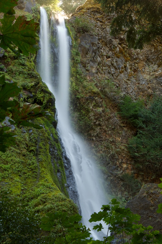 The Columbia River Gorge_d0069550_1425130.jpg