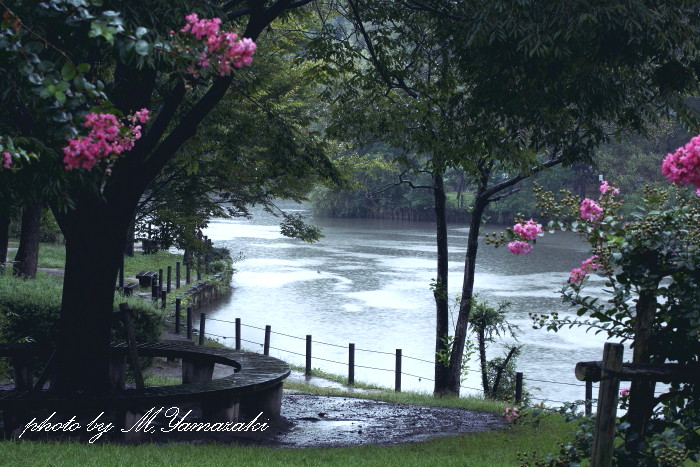 漸く雨は降ったけど・・・。_c0217255_174292.jpg