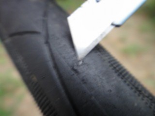 c0047856_6304572.jpg