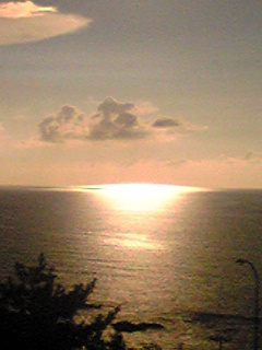 d0109356_2174570.jpg