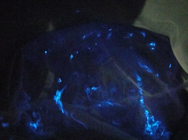 c0108460_23311050.jpg