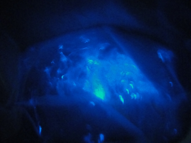c0108460_23313913.jpg