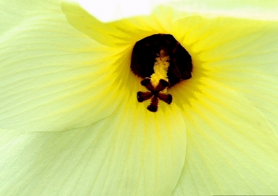 a0016161_8421898.jpg